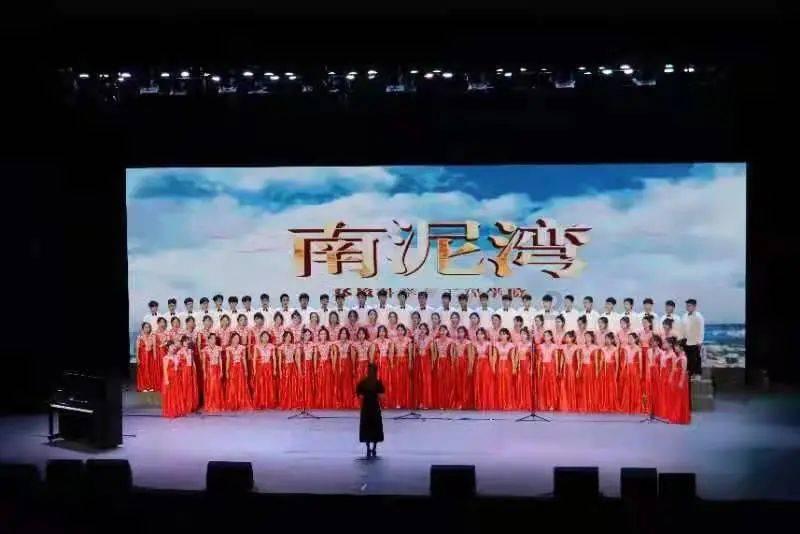 敏捷的白球